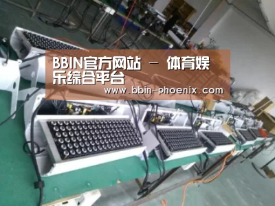 BBIN体育案例展示一