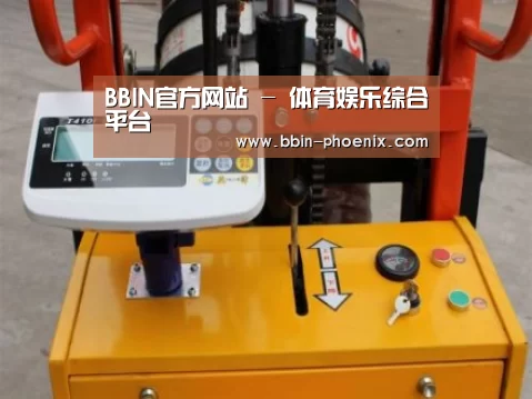 BBIN体育案例展示三