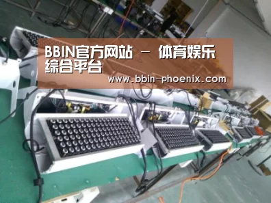 BBIN体育案例展示一(图1)