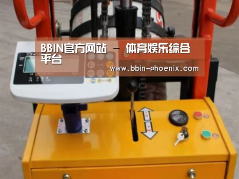 BBIN体育案例展示三(图1)