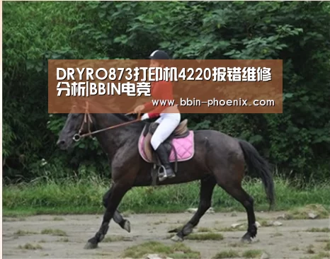 DRYRO873打印机4220报错维修分析|BBIN电竞(图1) BBIN足球