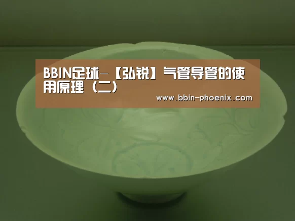 BBIN足球-【弘锐】气管导管的使用原理(二)(图1) BBIN电竞