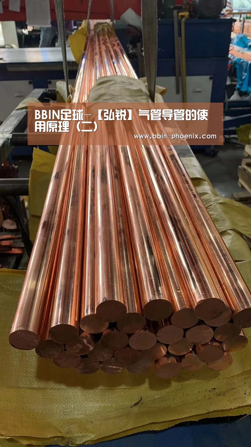 BBIN足球-【弘锐】气管导管的使用原理(二)(图2) BBIN体育