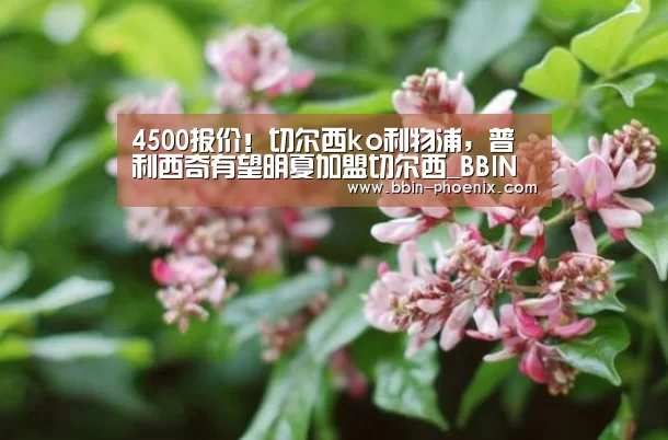 BBIN电竞