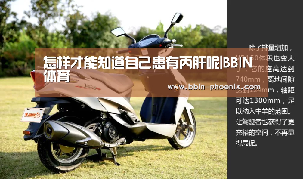 BBIN体育